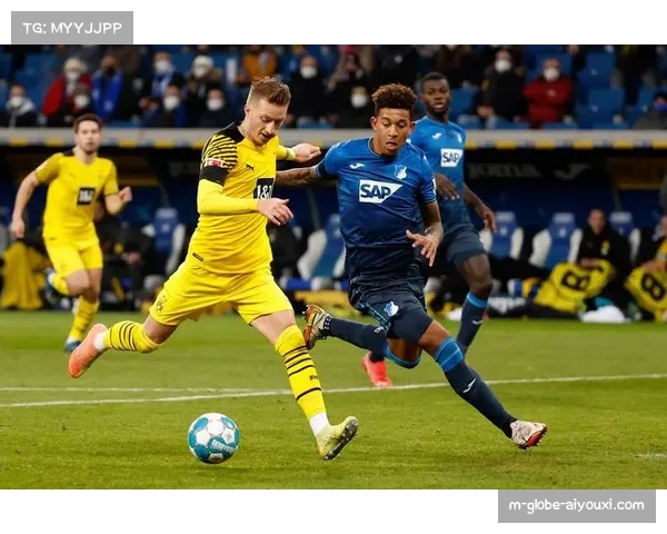 霍芬海姆主场胜率超六成,进攻端火力充足防守稳固 霍芬海姆主场胜率超六成,进攻端火力充足防守稳固